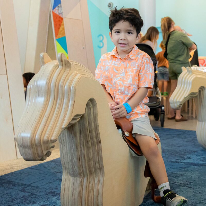 Saddle Up Horses